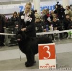 Превью фото № 112736