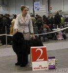 Превью фото № 112737