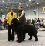 Превью фото № 112826