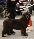 Превью фото № 112846