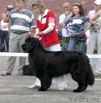 Превью фото № 113236