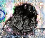 Превью фото № 113823