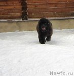 Превью фото № 114205