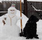 Превью фото № 11459