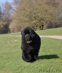 Превью фото № 115006