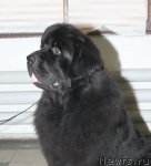 Превью фото № 115586