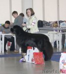 Превью фото № 115614