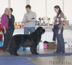 Превью фото № 115620