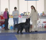 Превью фото № 115635