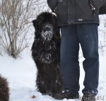 Превью фото № 115653