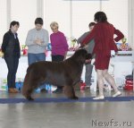 Превью фото № 115705