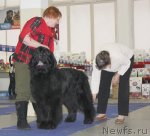 Превью фото № 115708