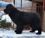 Превью фото № 115772