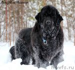 Превью фото № 115784