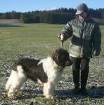 Превью фото № 1158