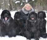 Превью фото № 116094