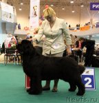 Превью фото № 116151