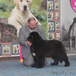 Превью фото № 116698