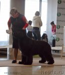 Превью фото № 116817