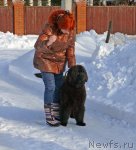 Превью фото № 117076