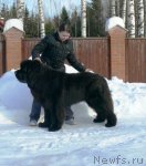 Превью фото № 117078