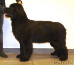 Превью фото № 117121