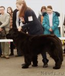 Превью фото № 117187