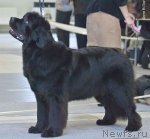 Превью фото № 117263