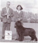 Превью фото № 117579