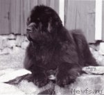 Превью фото № 117653