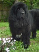 Превью фото № 117887