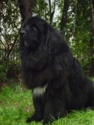 Превью фото № 117888