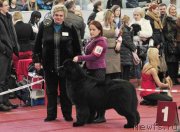 Превью фото № 117939