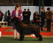 Превью фото № 117945