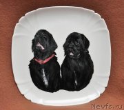 Превью фото № 117947