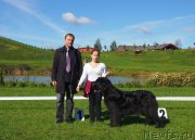 Превью фото № 117955