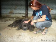 Превью фото № 117995