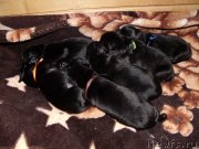 Превью фото № 118035