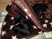 Превью фото № 118036