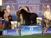 Превью фото № 118050