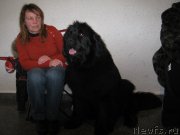 Превью фото № 118060