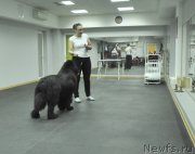 Превью фото № 118075