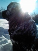 Превью фото № 118137