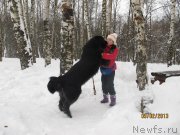 Превью фото № 118321