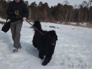 Превью фото № 118392