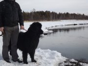 Превью фото № 118393