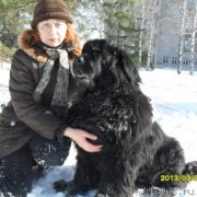 Превью фото № 118425