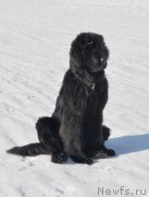 Превью фото № 118441