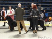 Превью фото № 118473