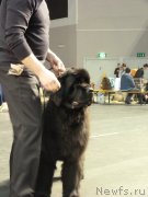 Превью фото № 118480